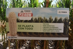 Expo Corteva Pioneer 2019