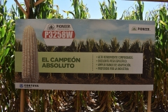 Expo Corteva Pioneer 2019