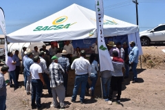 Expo Corteva Pioneer 2019
