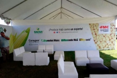 grupo-sacsa-convive-2019-03