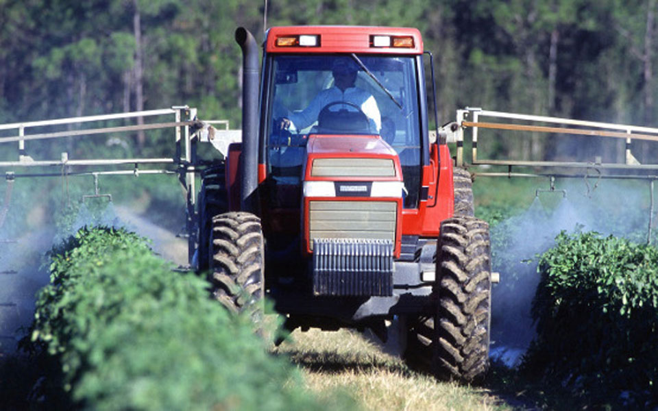 Desventajas que tiene el uso de pesticidas Químicos