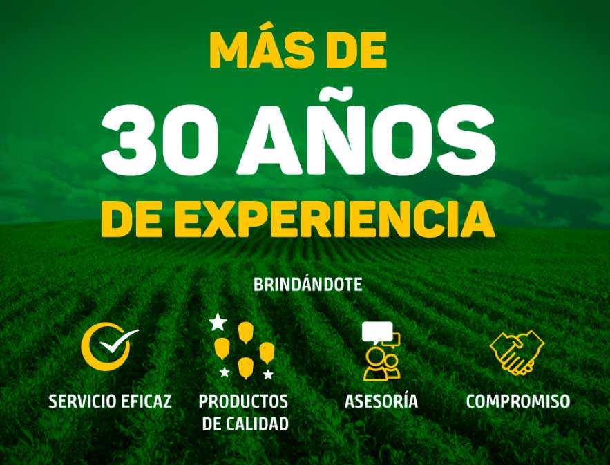 El Maíz – Potencial de Sinaloa