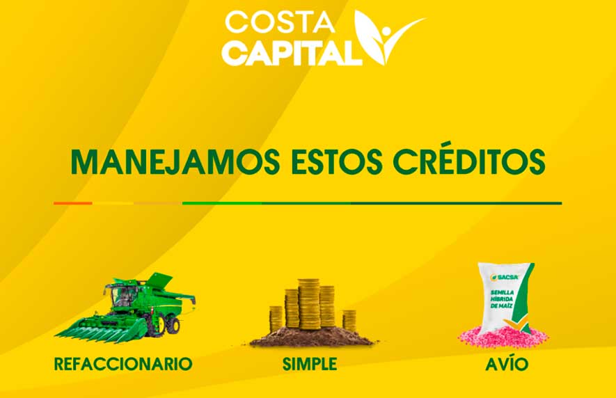 Crédito De Avío