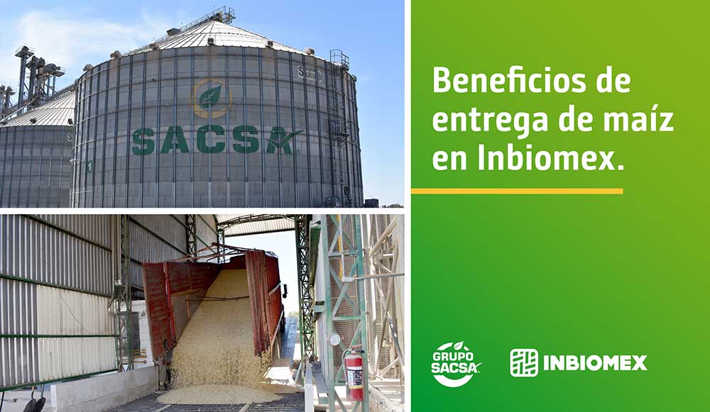 Beneficios de entrega de maíz en Inbiomex