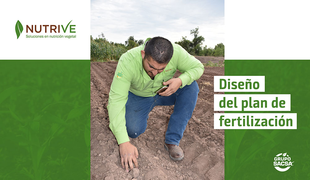 Diseño del plan de fertilización