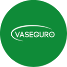 Vaseguro